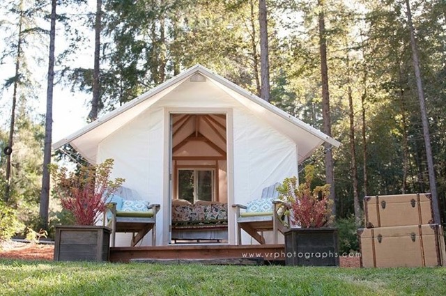 Bungalow en bois Kit, 20m², 44mm, WS 570