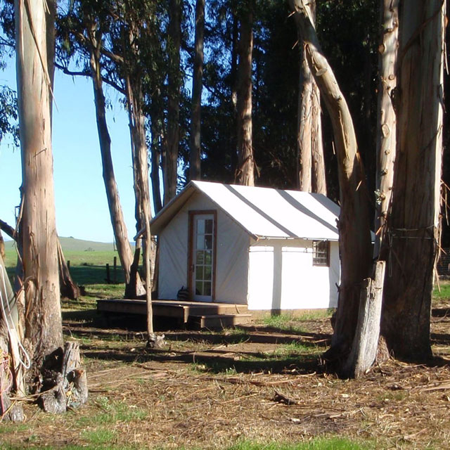 Pioneer Bungalow Kit